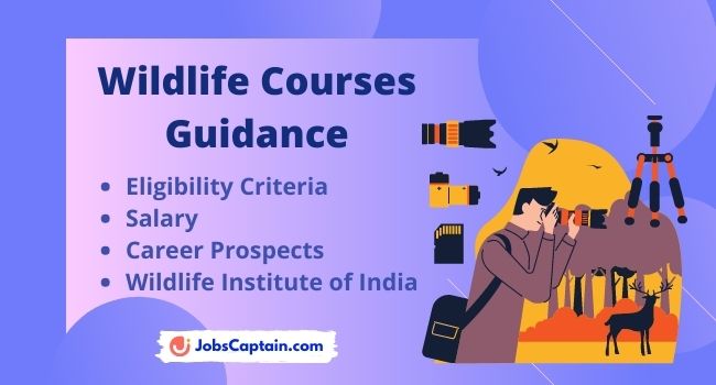 Wildlife Courses Guidance - Eligibility, Career Prospects