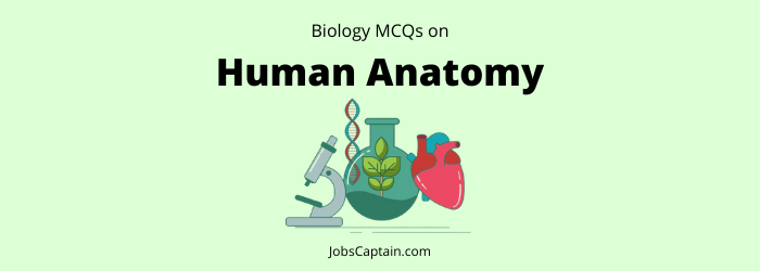 Human Anatomy MCQ