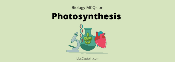 Photosynthesis MCQs with Answers
