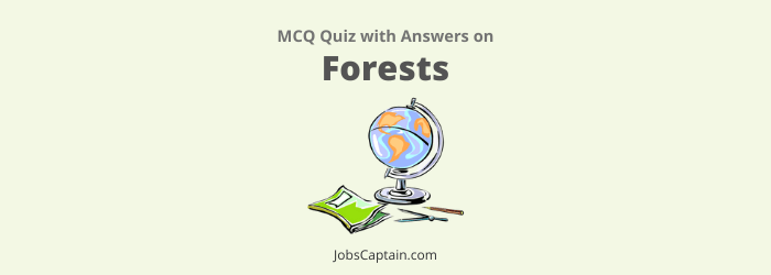 Forest Questions and Answers